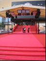 The Red Carpet