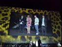 locarno festival