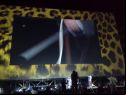 locarno festival