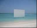 cinema on the beach