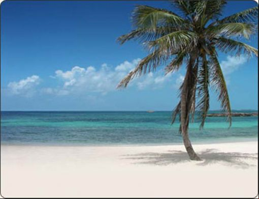 Beaches 