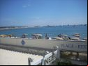 Cannes Film Festival