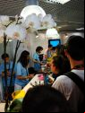 Short Film Corner Happy Hour