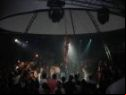 Limelight Opening