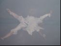 The Ballerinas Fly!